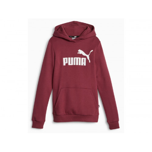 SWEAT CAPUCHE ENFANT PUMA ESS LOGO HOODIE